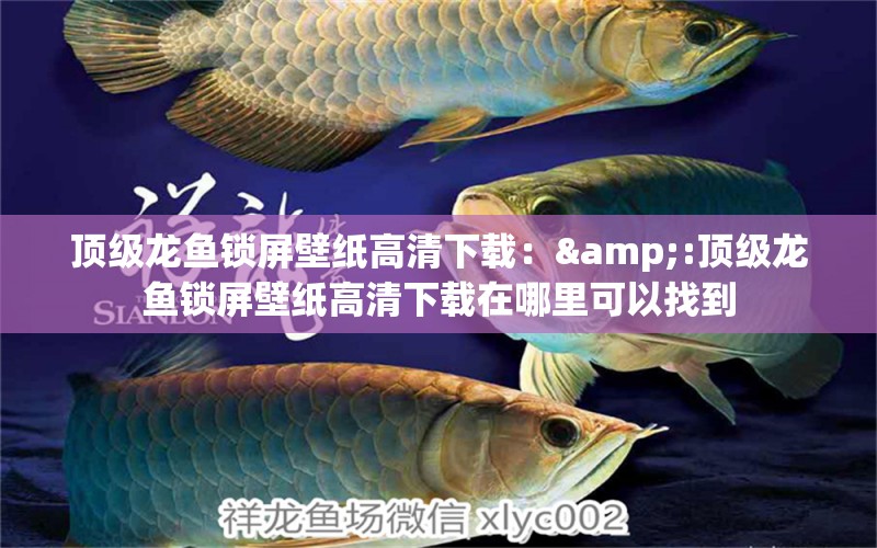 頂級龍魚鎖屏壁紙高清下載：&:頂級龍魚鎖屏壁紙高清下載在哪里可以找到 水族問答 第1張