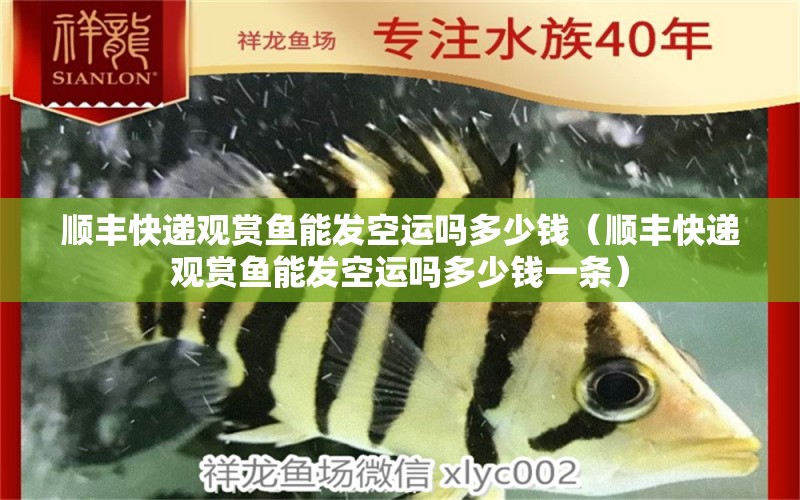 順豐快遞觀賞魚能發(fā)空運(yùn)嗎多少錢（順豐快遞觀賞魚能發(fā)空運(yùn)嗎多少錢一條）