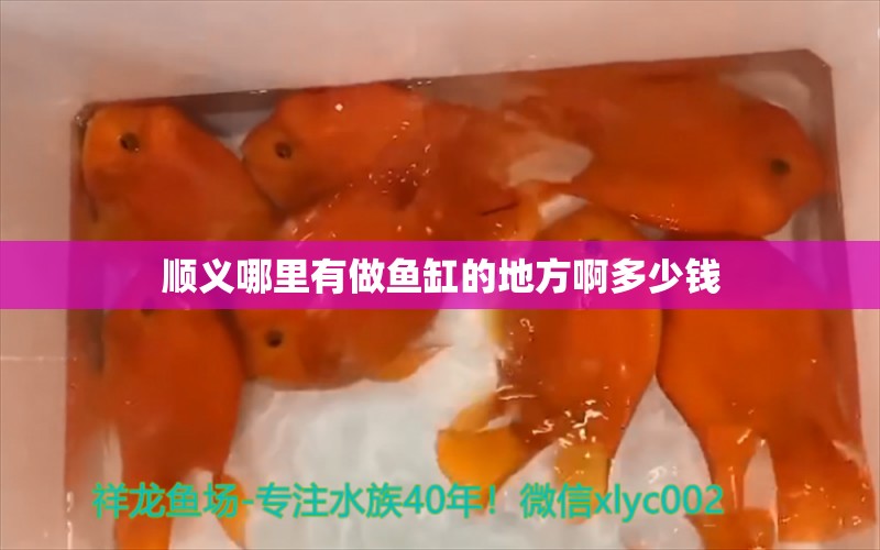 順義哪里有做魚缸的地方啊多少錢 祥龍魚場