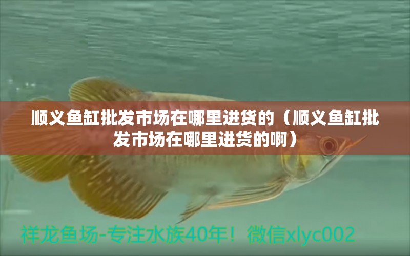 順義魚缸批發(fā)市場在哪里進貨的（順義魚缸批發(fā)市場在哪里進貨的?。?充氧泵