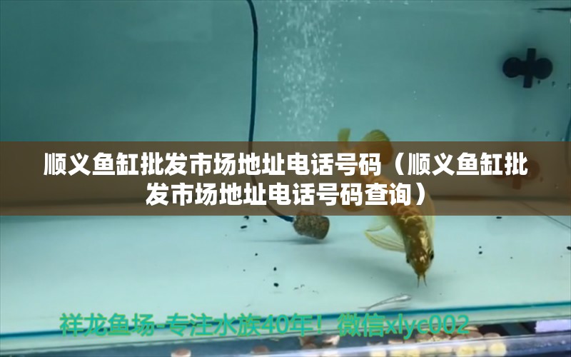 順義魚缸批發(fā)市場地址電話號碼（順義魚缸批發(fā)市場地址電話號碼查詢） 觀賞魚市場（混養(yǎng)魚）