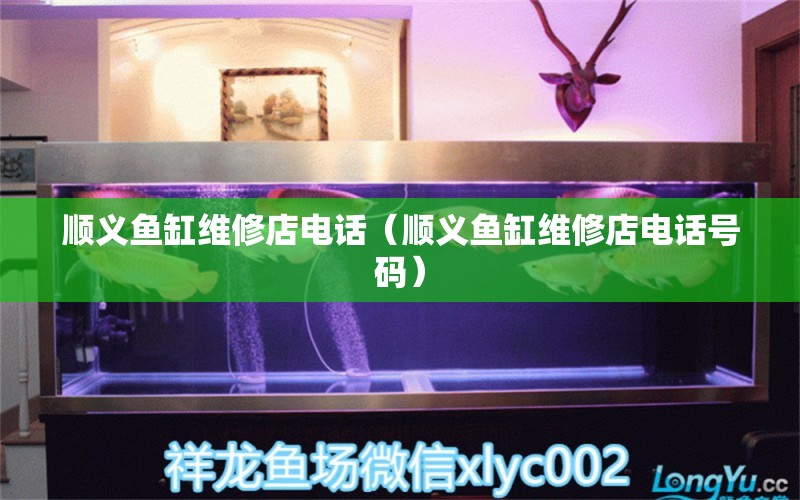 順義魚缸維修店電話（順義魚缸維修店電話號(hào)碼） 其他品牌魚缸