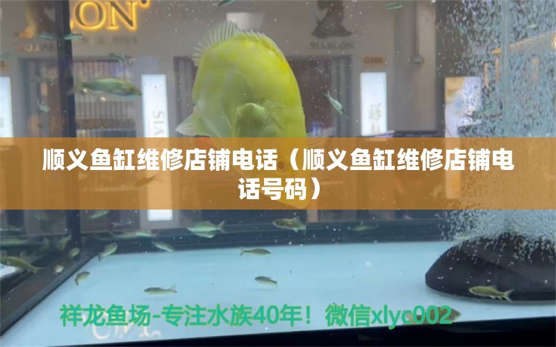 順義魚缸維修店鋪電話（順義魚缸維修店鋪電話號(hào)碼） 祥龍水族醫(yī)院