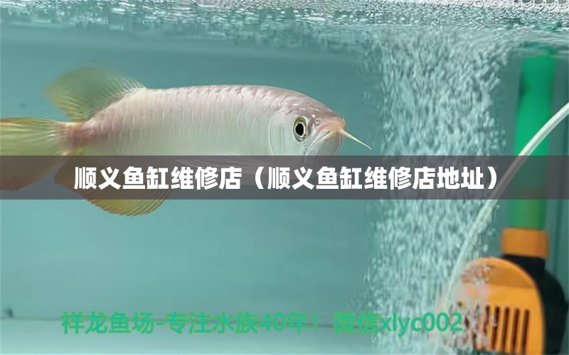 順義魚缸維修店（順義魚缸維修店地址）