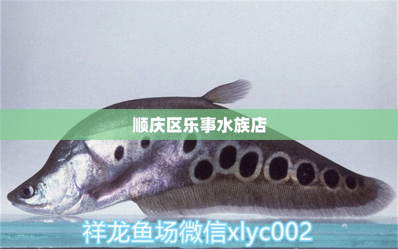 順慶區(qū)樂(lè)事水族店 全國(guó)水族館企業(yè)名錄