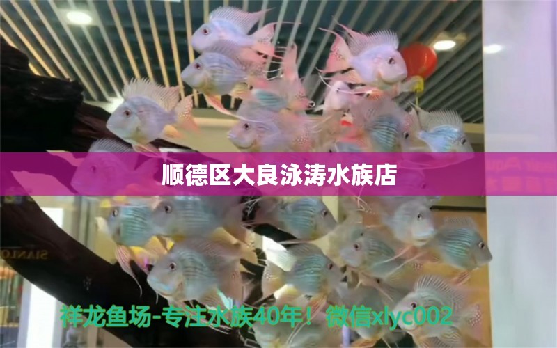 順德區(qū)大良泳濤水族店 全國(guó)水族館企業(yè)名錄