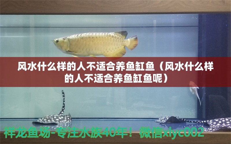 風(fēng)水什么樣的人不適合養(yǎng)魚缸魚（風(fēng)水什么樣的人不適合養(yǎng)魚缸魚呢） 魚缸風(fēng)水