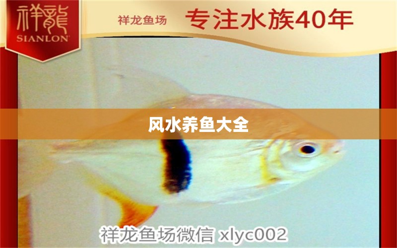 風(fēng)水養(yǎng)魚大全