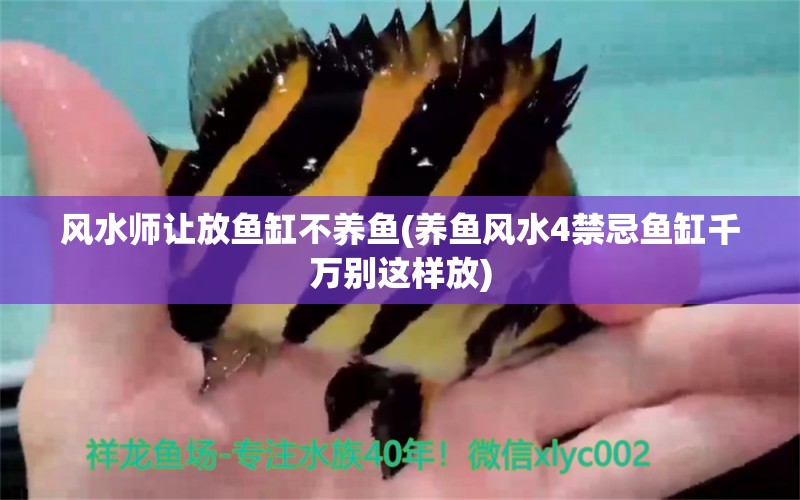 風水師讓放魚缸不養(yǎng)魚(養(yǎng)魚風水4禁忌魚缸千萬別這樣放) 魚缸風水 第1張