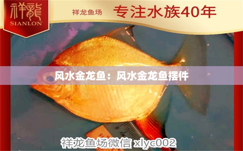 風(fēng)水金龍魚(yú)：風(fēng)水金龍魚(yú)擺件 魚(yú)缸風(fēng)水