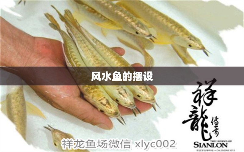 風(fēng)水魚的擺設(shè) 魚缸風(fēng)水