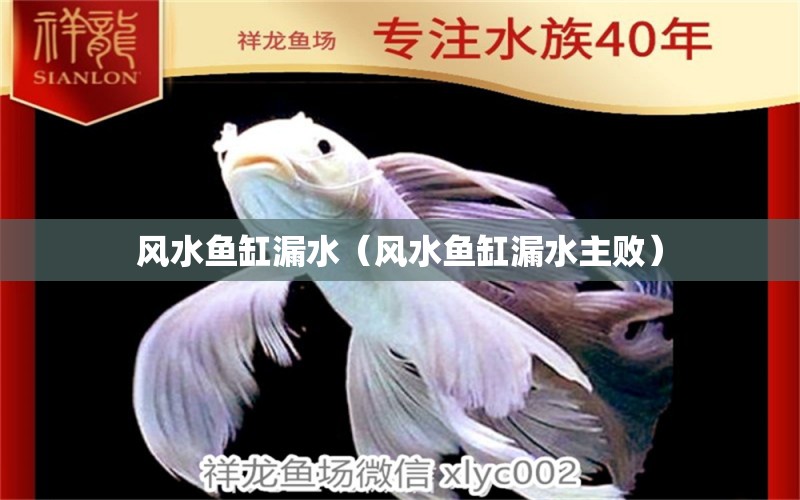 風(fēng)水魚缸漏水（風(fēng)水魚缸漏水主?。?魚缸風(fēng)水