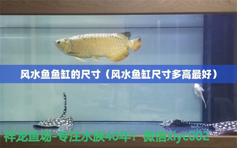 風(fēng)水魚魚缸的尺寸（風(fēng)水魚缸尺寸多高最好） 李亞四龍魚