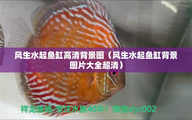 風(fēng)生水起魚缸高清背景圖（風(fēng)生水起魚缸背景圖片大全超清）