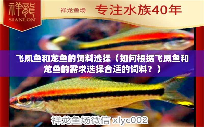 飛鳳魚(yú)和龍魚(yú)的飼料選擇（如何根據(jù)飛鳳魚(yú)和龍魚(yú)的需求選擇合適的飼料？） 水族問(wèn)答 第1張