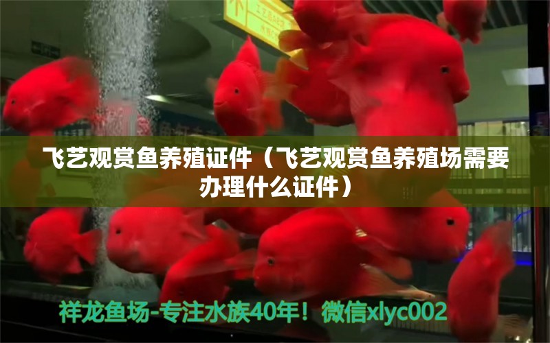 飛藝觀賞魚養(yǎng)殖證件（飛藝觀賞魚養(yǎng)殖場需要辦理什么證件） 檸檬鯽 第2張