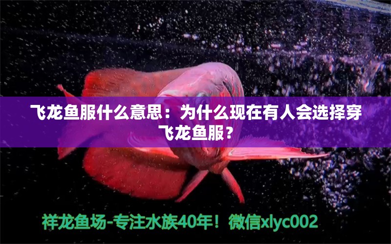 飛龍魚服什么意思：為什么現(xiàn)在有人會(huì)選擇穿飛龍魚服？ 水族問答 第2張