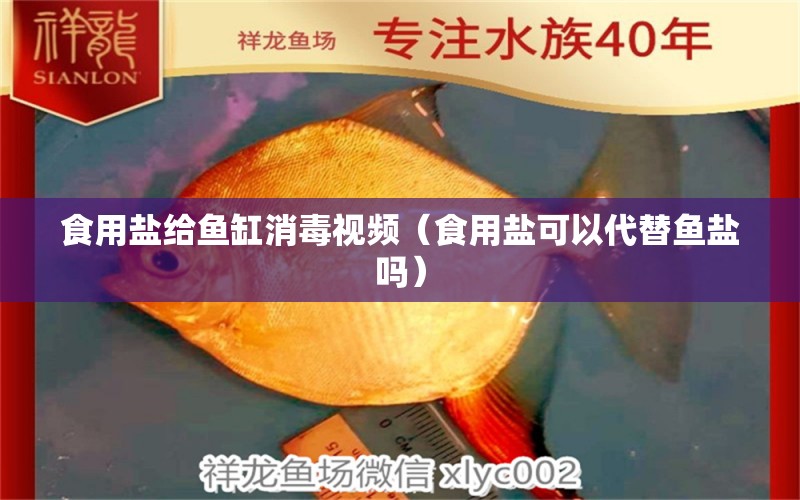 食用鹽給魚缸消毒視頻（食用鹽可以代替魚鹽嗎）