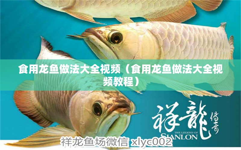 食用龍魚做法大全視頻（食用龍魚做法大全視頻教程） 廣州龍魚批發(fā)市場