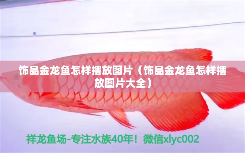 飾品金龍魚怎樣擺放圖片（飾品金龍魚怎樣擺放圖片大全）