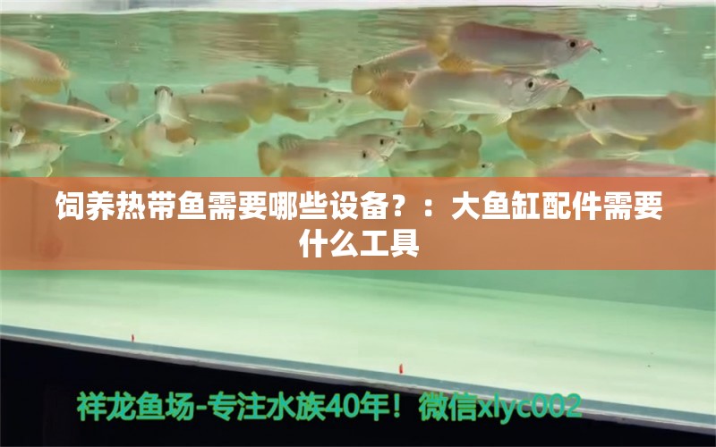 飼養(yǎng)熱帶魚需要哪些設(shè)備？：大魚缸配件需要什么工具 魚缸百科 第2張