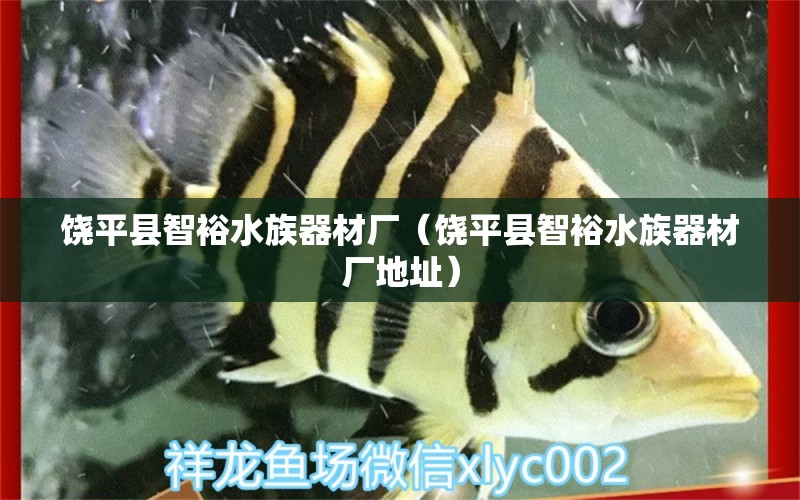 饒平縣智裕水族器材廠（饒平縣智裕水族器材廠地址）