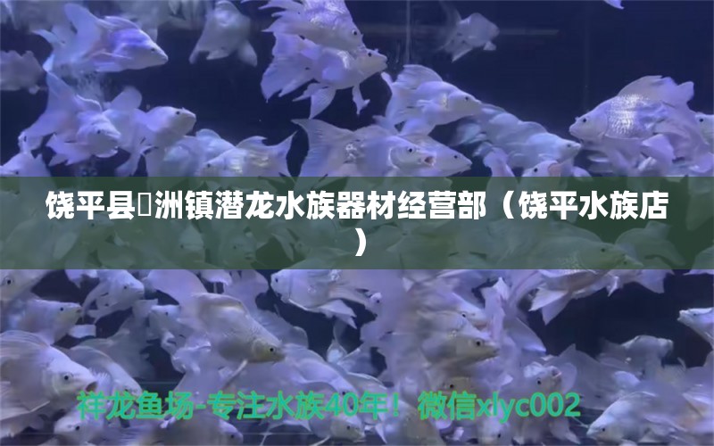 饒平縣汫洲鎮(zhèn)潛龍水族器材經(jīng)營部（饒平水族店）