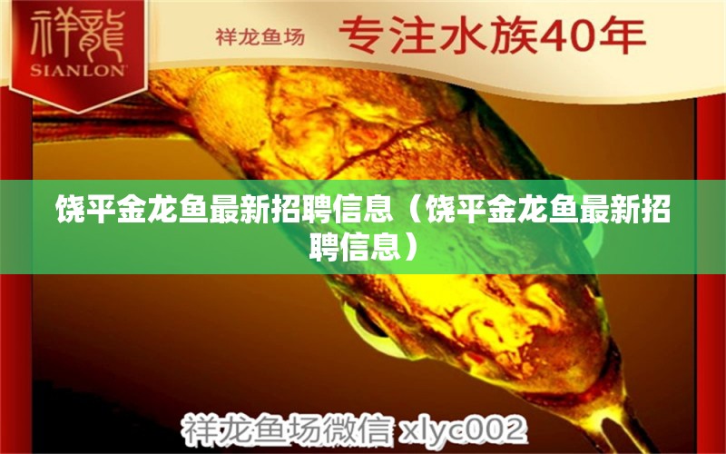 饒平金龍魚最新招聘信息（饒平金龍魚最新招聘信息） 祥龍傳奇品牌魚缸