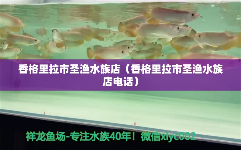 香格里拉市圣漁水族店（香格里拉市圣漁水族店電話） 全國水族館企業(yè)名錄 第1張