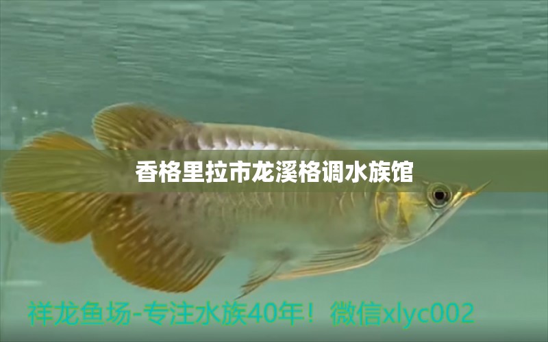 香格里拉市龍溪格調(diào)水族館