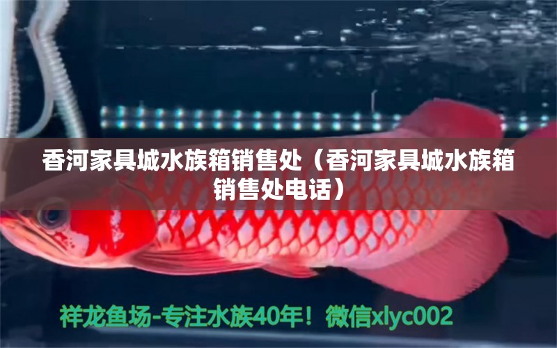 香河家具城水族箱銷售處（香河家具城水族箱銷售處電話） 魚缸/水族箱