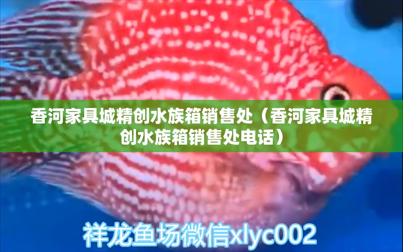 香河家具城精創(chuàng)水族箱銷售處（香河家具城精創(chuàng)水族箱銷售處電話）