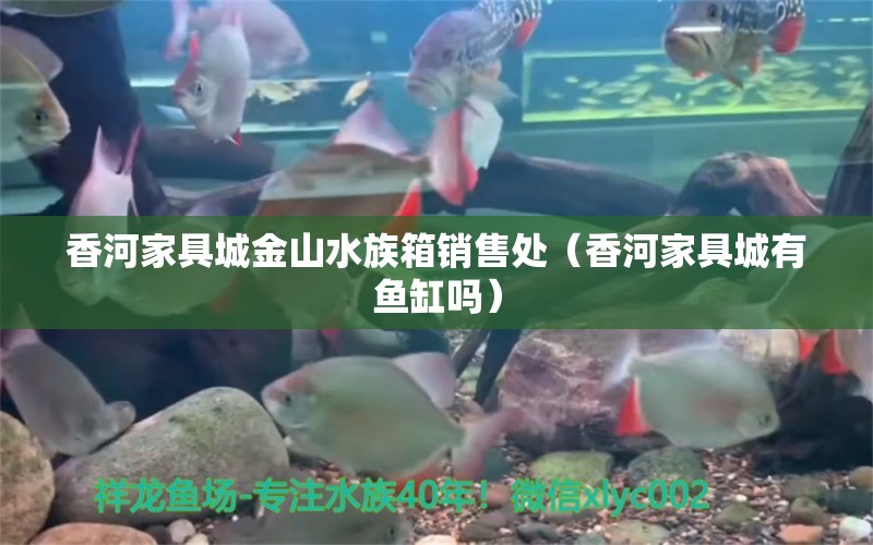 香河家具城金山水族箱銷售處（香河家具城有魚缸嗎）