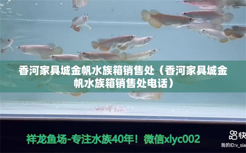 香河家具城金帆水族箱銷售處（香河家具城金帆水族箱銷售處電話） 魚缸/水族箱