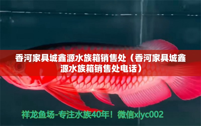 香河家具城鑫源水族箱銷售處（香河家具城鑫源水族箱銷售處電話）