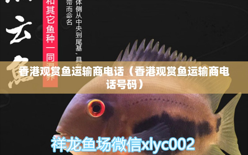 香港觀賞魚運(yùn)輸商電話（香港觀賞魚運(yùn)輸商電話號(hào)碼）