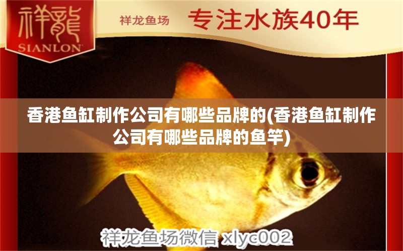 香港魚缸制作公司有哪些品牌的(香港魚缸制作公司有哪些品牌的魚竿) 垂釣樂園