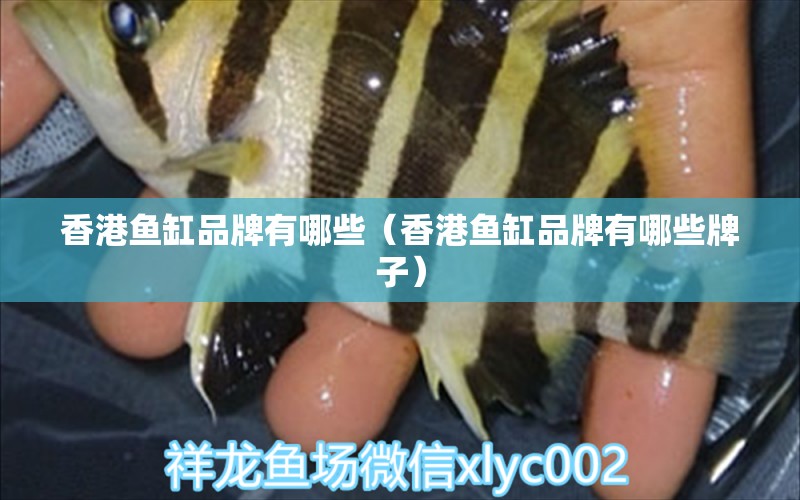 香港魚缸品牌有哪些（香港魚缸品牌有哪些牌子）