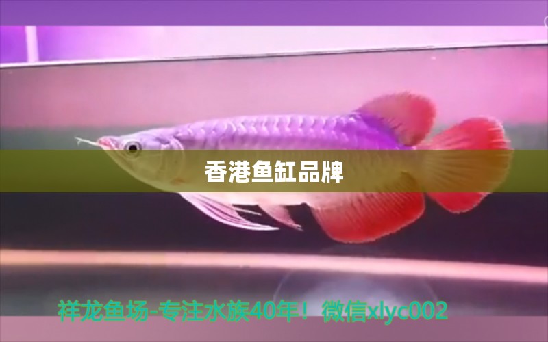 香港魚缸品牌