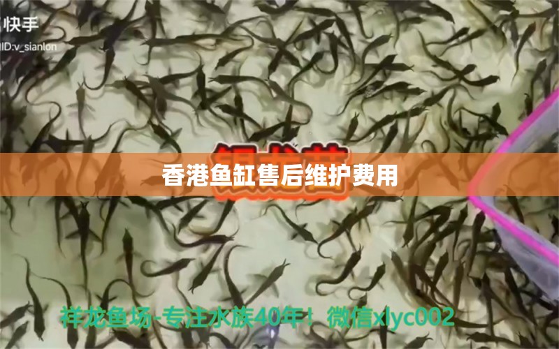 香港魚缸售后維護(hù)費用