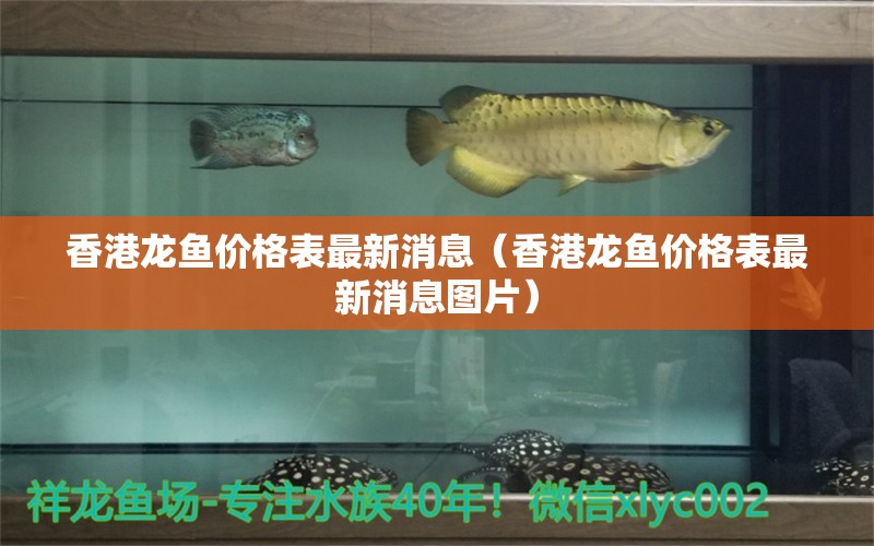 香港龍魚價格表最新消息（香港龍魚價格表最新消息圖片）