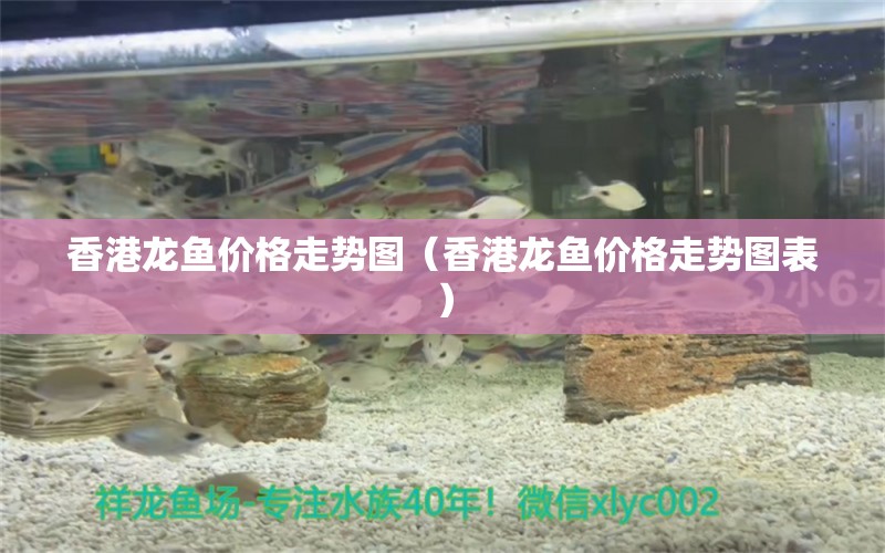 香港龍魚價格走勢圖（香港龍魚價格走勢圖表）