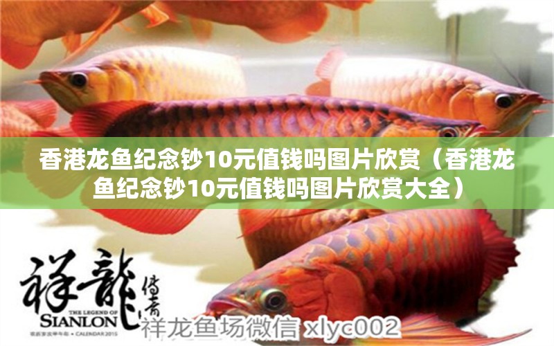 香港龍魚紀念鈔10元值錢嗎圖片欣賞（香港龍魚紀念鈔10元值錢嗎圖片欣賞大全） 祥龍水族醫(yī)院