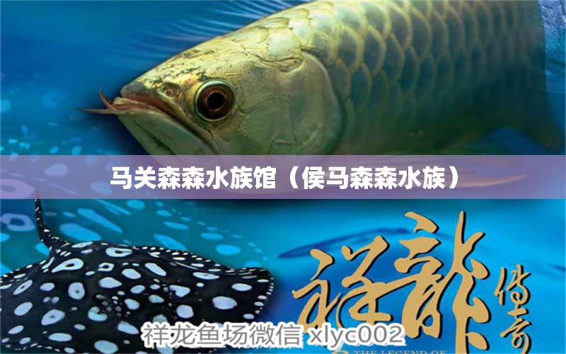 馬關(guān)森森水族館（侯馬森森水族）