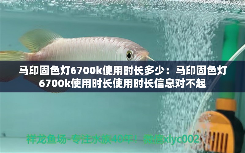 馬印固色燈6700k使用時長多少：馬印固色燈6700k使用時長使用時長信息對不起