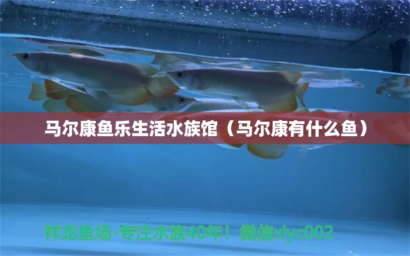 馬爾康魚樂生活水族館（馬爾康有什么魚）