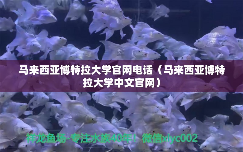 馬來西亞博特拉大學官網(wǎng)電話（馬來西亞博特拉大學中文官網(wǎng)）