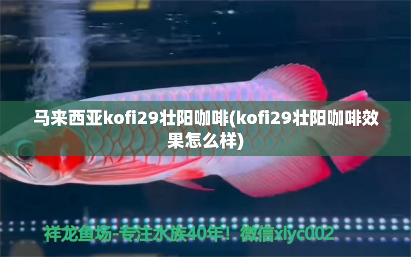 馬來西亞kofi29壯陽咖啡(kofi29壯陽咖啡效果怎么樣) 馬來西亞咖啡 第1張