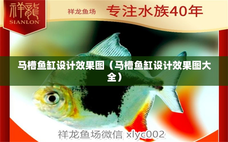 馬槽魚缸設(shè)計效果圖（馬槽魚缸設(shè)計效果圖大全） 觀賞魚市場（混養(yǎng)魚）