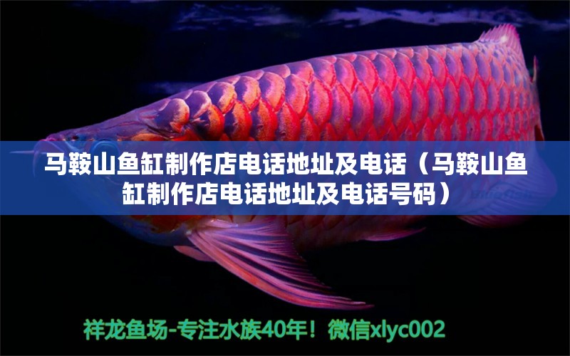 馬鞍山魚(yú)缸制作店電話(huà)地址及電話(huà)（馬鞍山魚(yú)缸制作店電話(huà)地址及電話(huà)號(hào)碼）